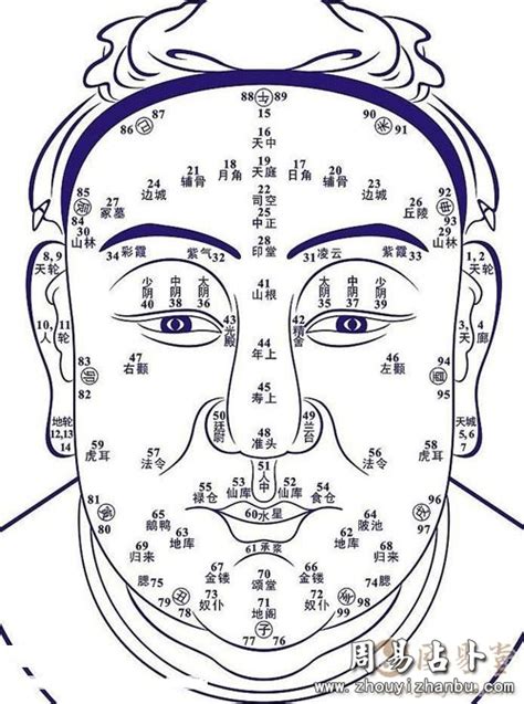 肚臍下有痣|痣与命运的关系之腹部痣相图解大全